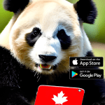 Canada phone number online.