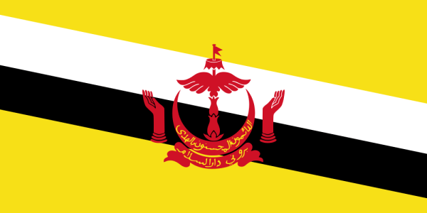 eSIM Brunei Darussalam